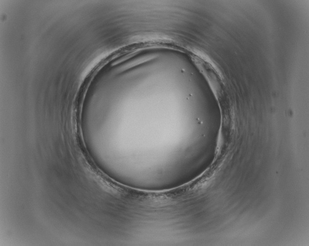 X0000074280983200609151847