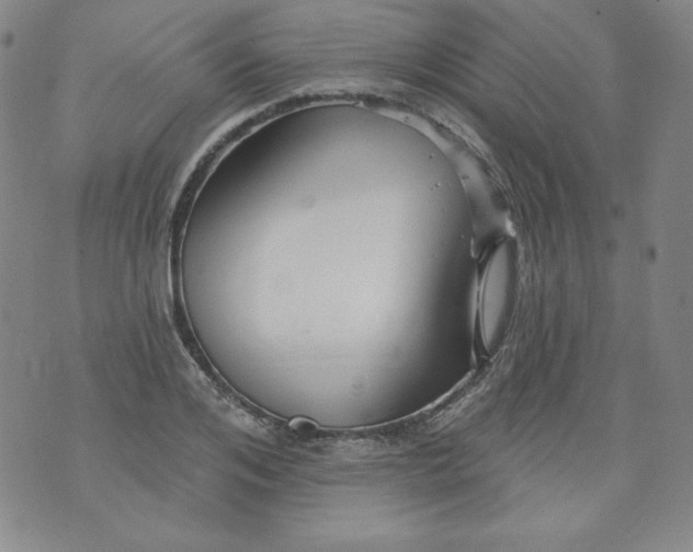 X0000074280984200609151847