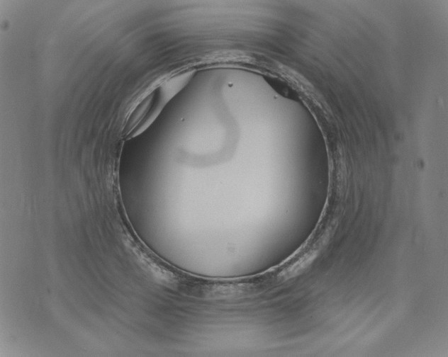 X0000074280985200609151847