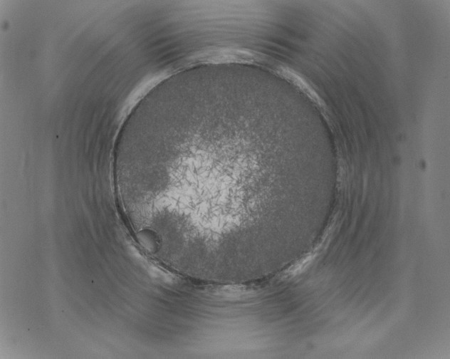 X0000074280986200609151847