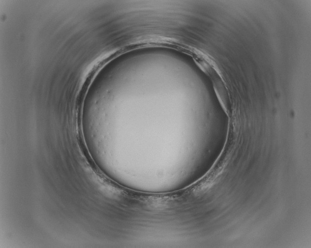 X0000074280987200609151847