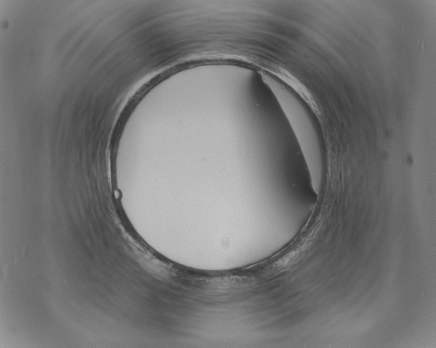 X0000074280988200609151847