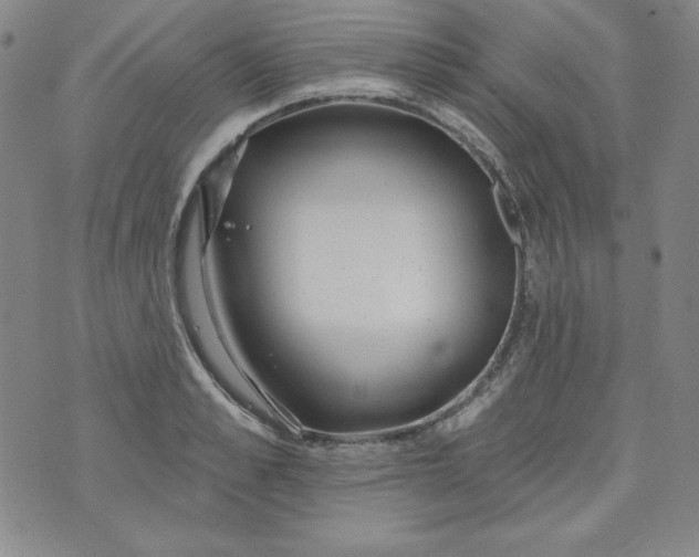 X0000074280989200609151847