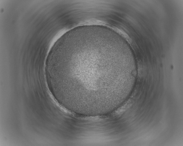 X0000074280990200609151847