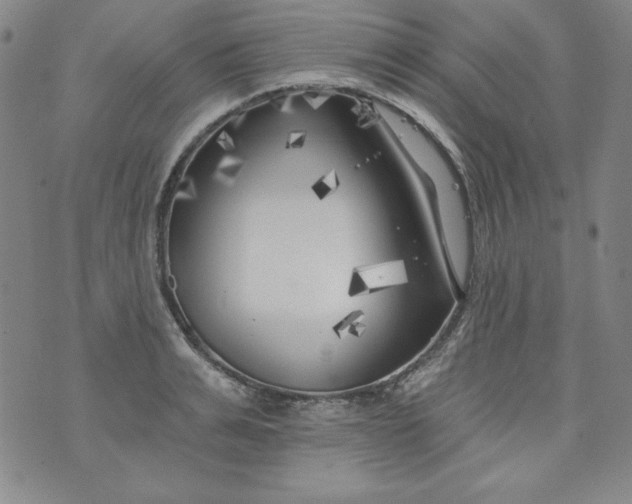 X0000074280991200609151847