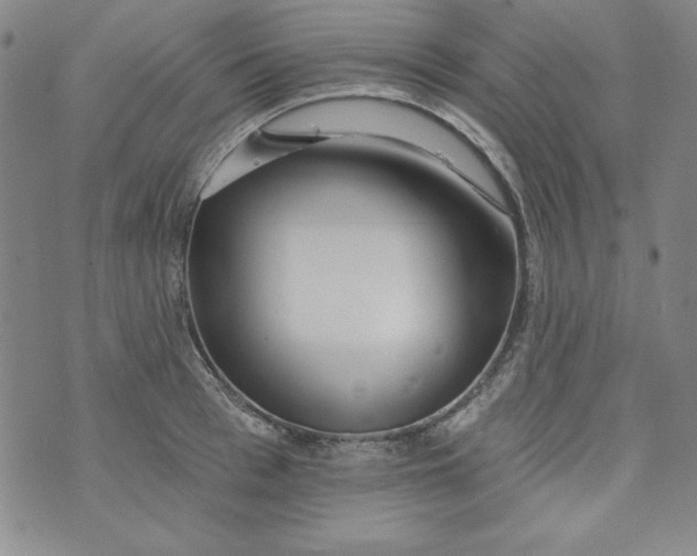 X0000074280993200609151847