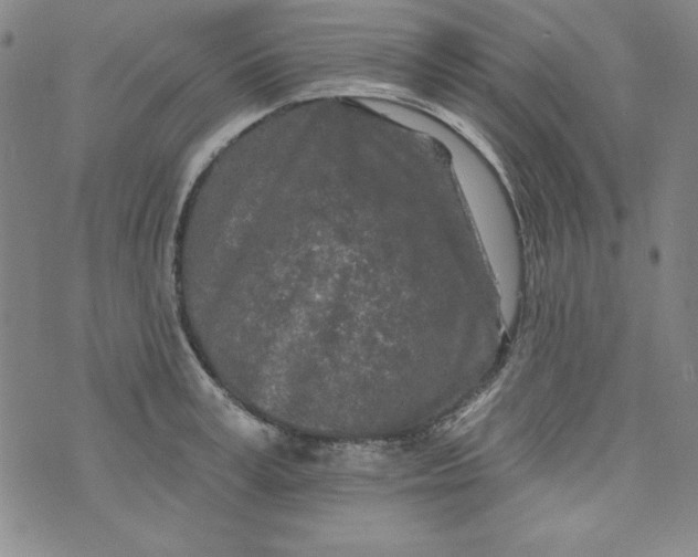 X0000074280995200609151847