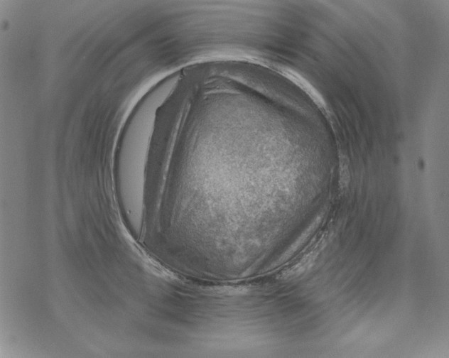 X0000074280996200609151847