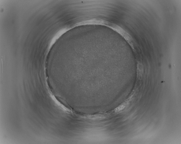 X0000074280998200609151847