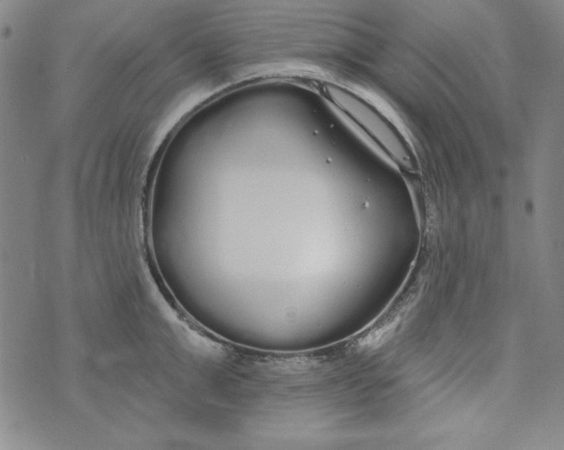 X0000074280999200609151847