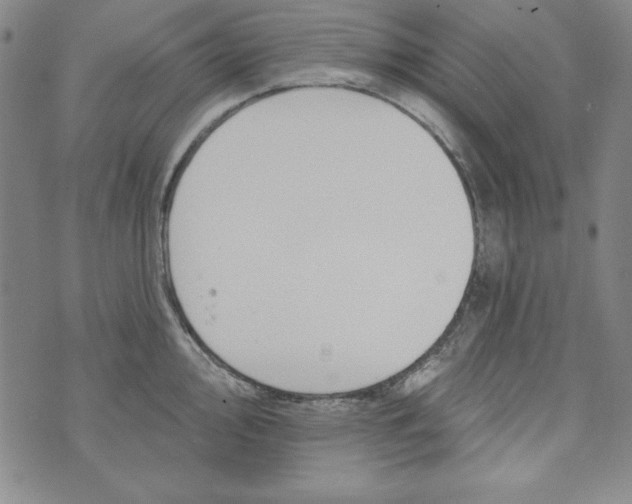 X0000074281000200609151847