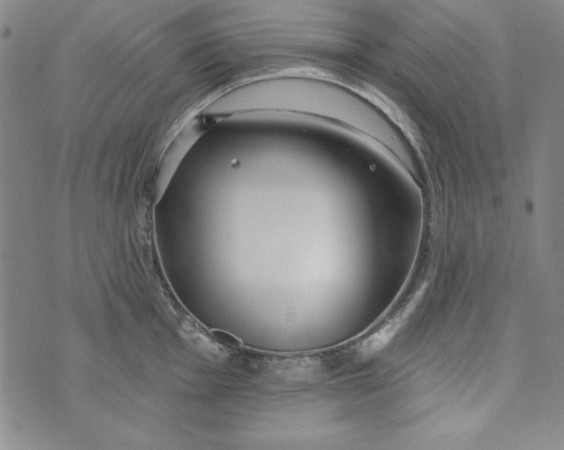 X0000074281001200609151847