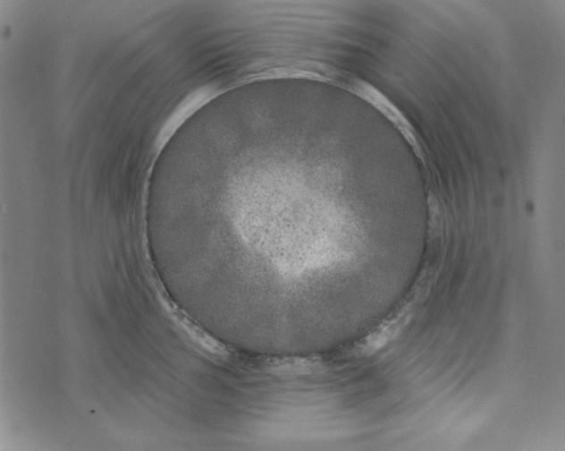 X0000074281002200609151847