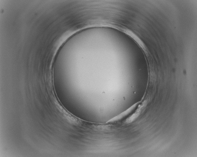 X0000074281004200609151847