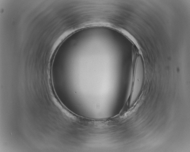 X0000074281005200609151847