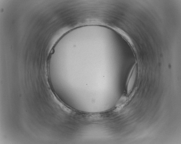 X0000074281006200609151847