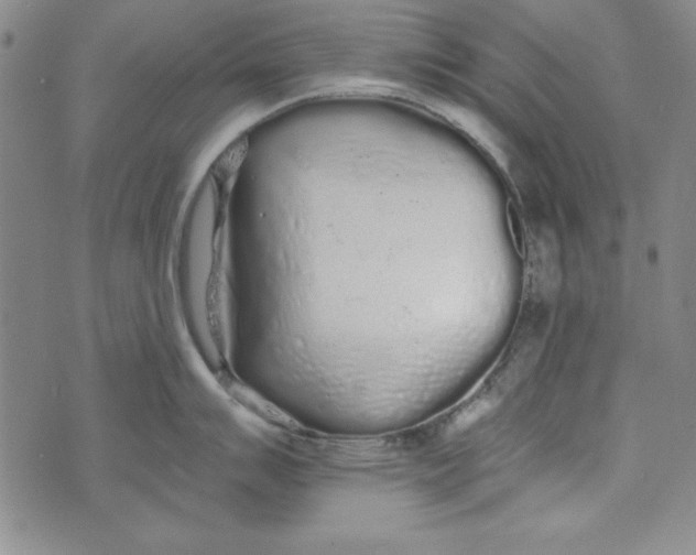 X0000074281007200609151847