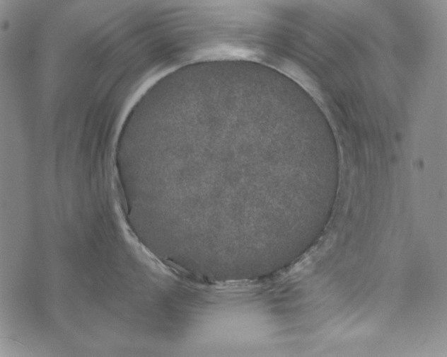 X0000074281008200609151847