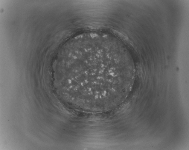 X0000074281009200609151846