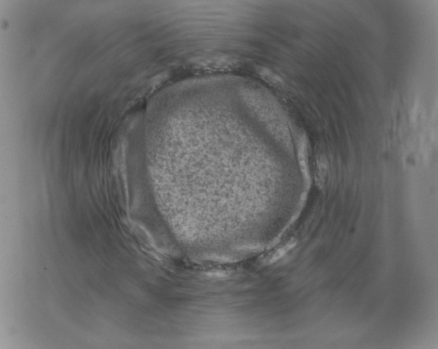 X0000074281010200609151846