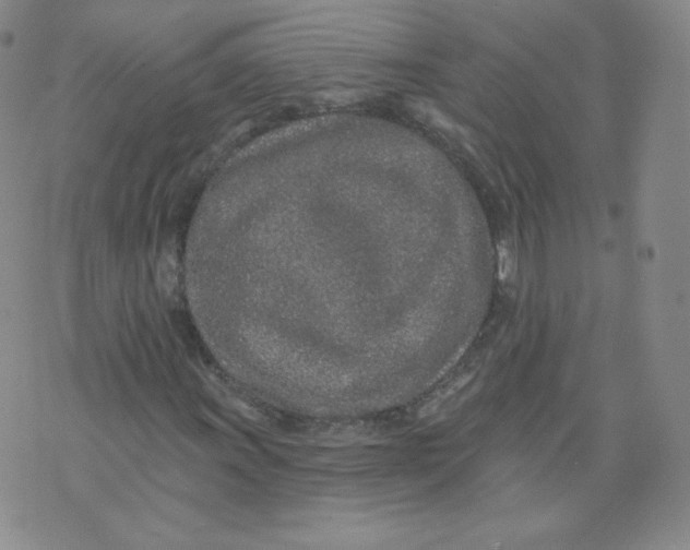 X0000074281011200609151846