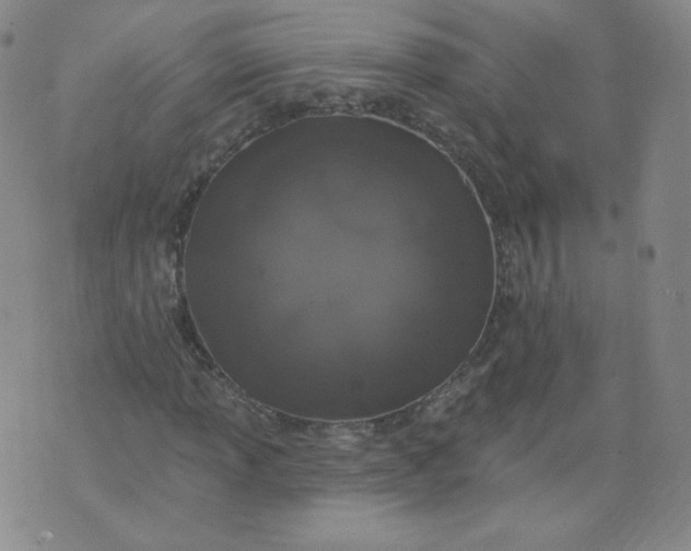 X0000074281013200609151846