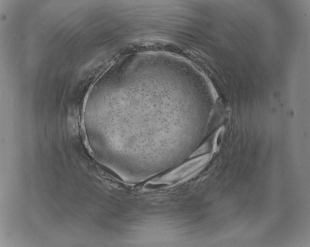 X0000074281014200609151846