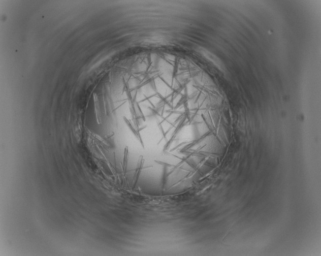 X0000074281015200609151846