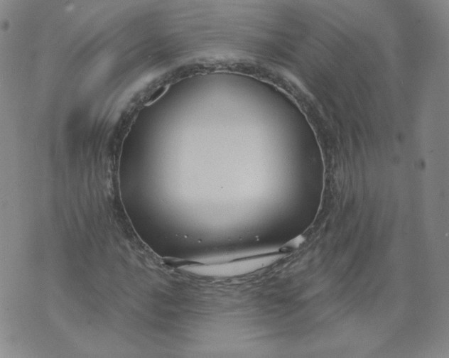 X0000074281016200609151846