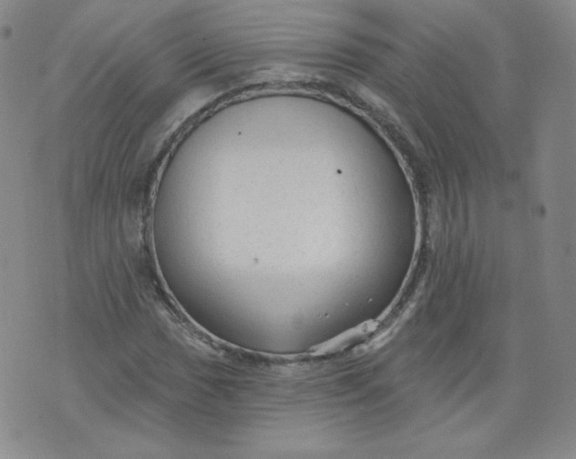 X0000074281017200609151846