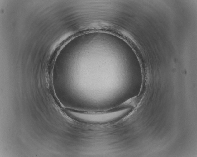 X0000074281018200609151846