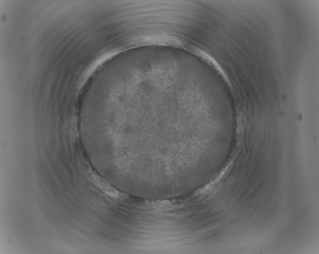 X0000074281019200609151846