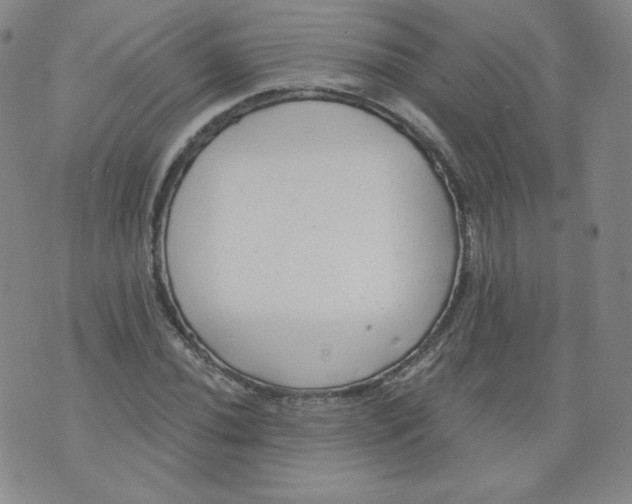 X0000074281020200609151846