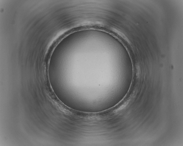 X0000074281021200609151846