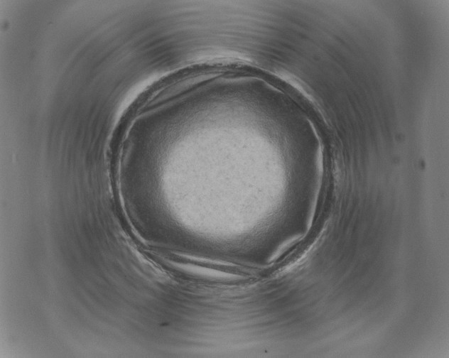 X0000074281022200609151846