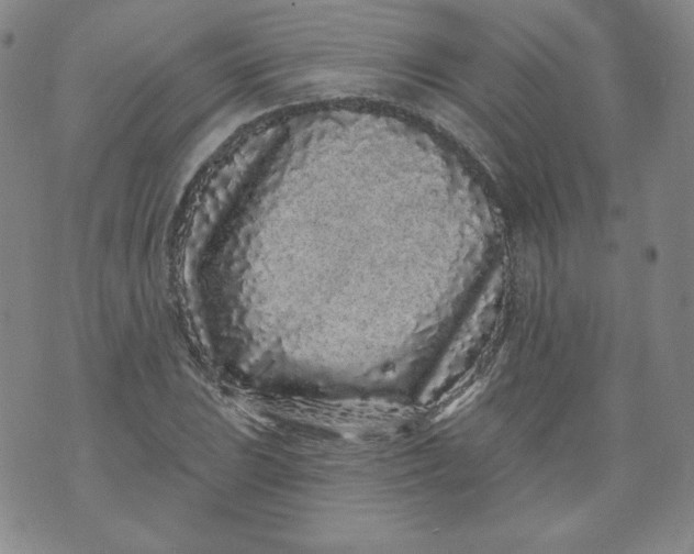 X0000074281023200609151846