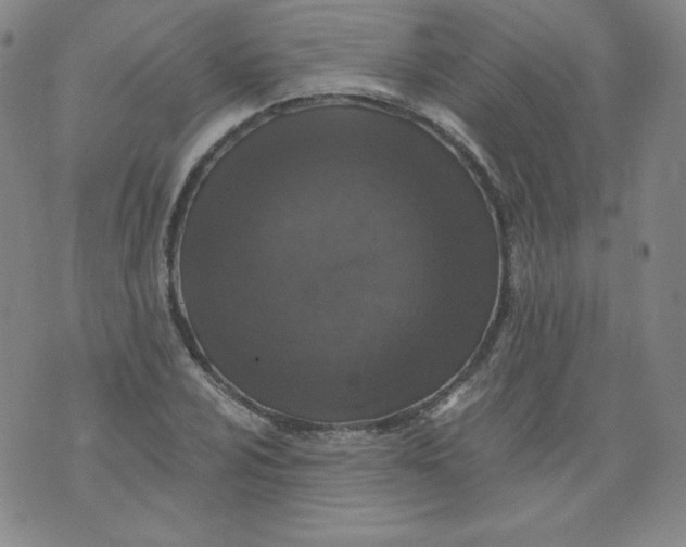 X0000074281024200609151847