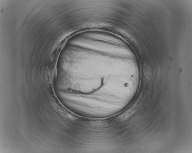 X0000074281025200609151847