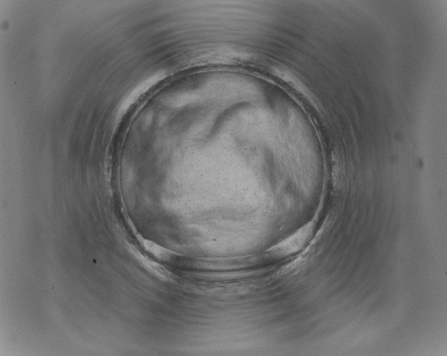 X0000074281026200609151847