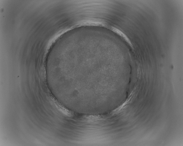 X0000074281027200609151847