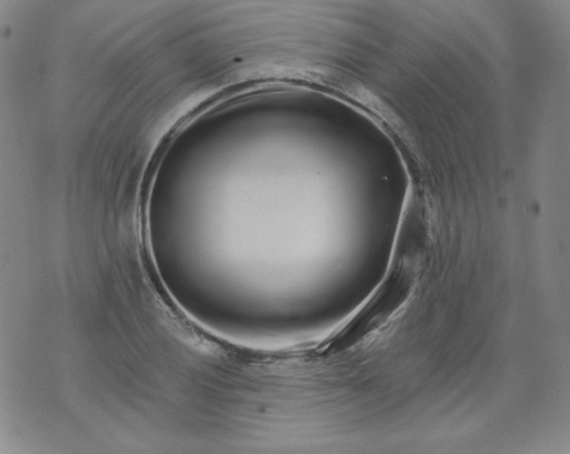 X0000074281028200609151847