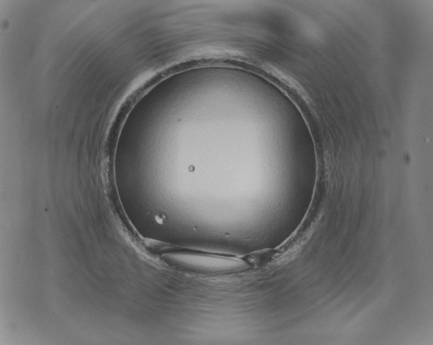 X0000074281029200609151847