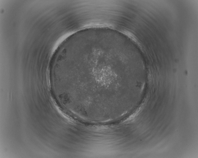 X0000074281030200609151847