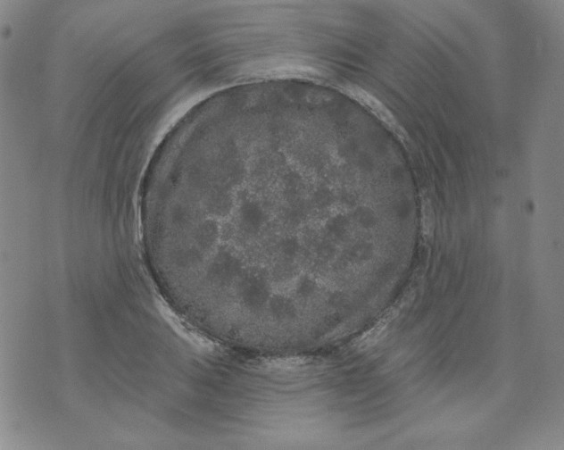 X0000074281031200609151847