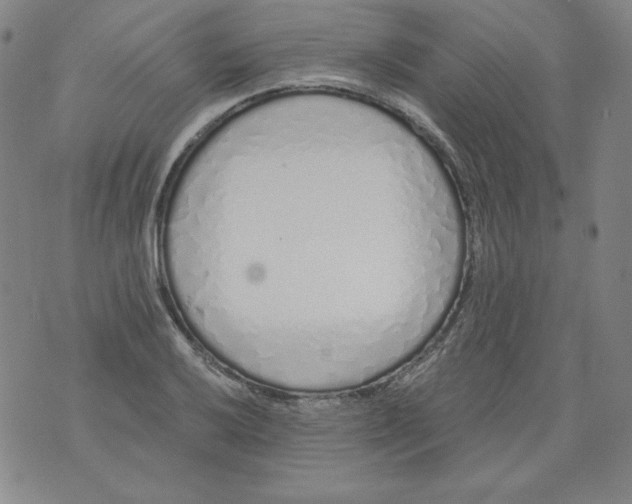 X0000074281032200609151847