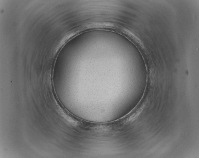 X0000074281033200609151847