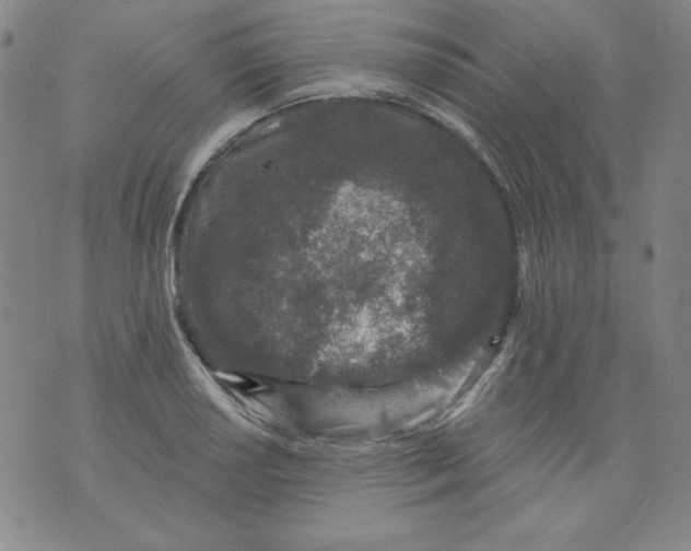 X0000074281034200609151847