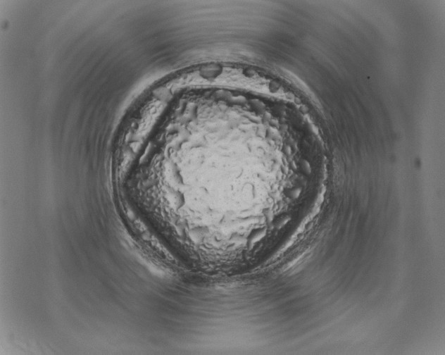 X0000074281035200609151847