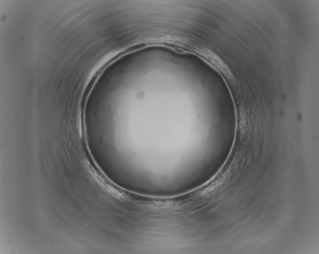 X0000074281036200609151847