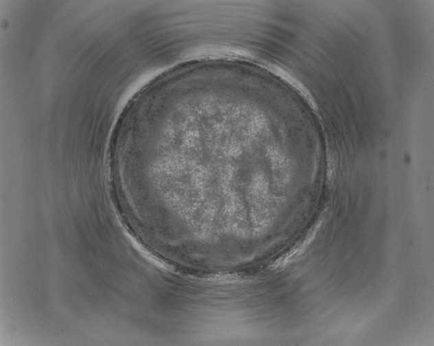 X0000074281037200609151847